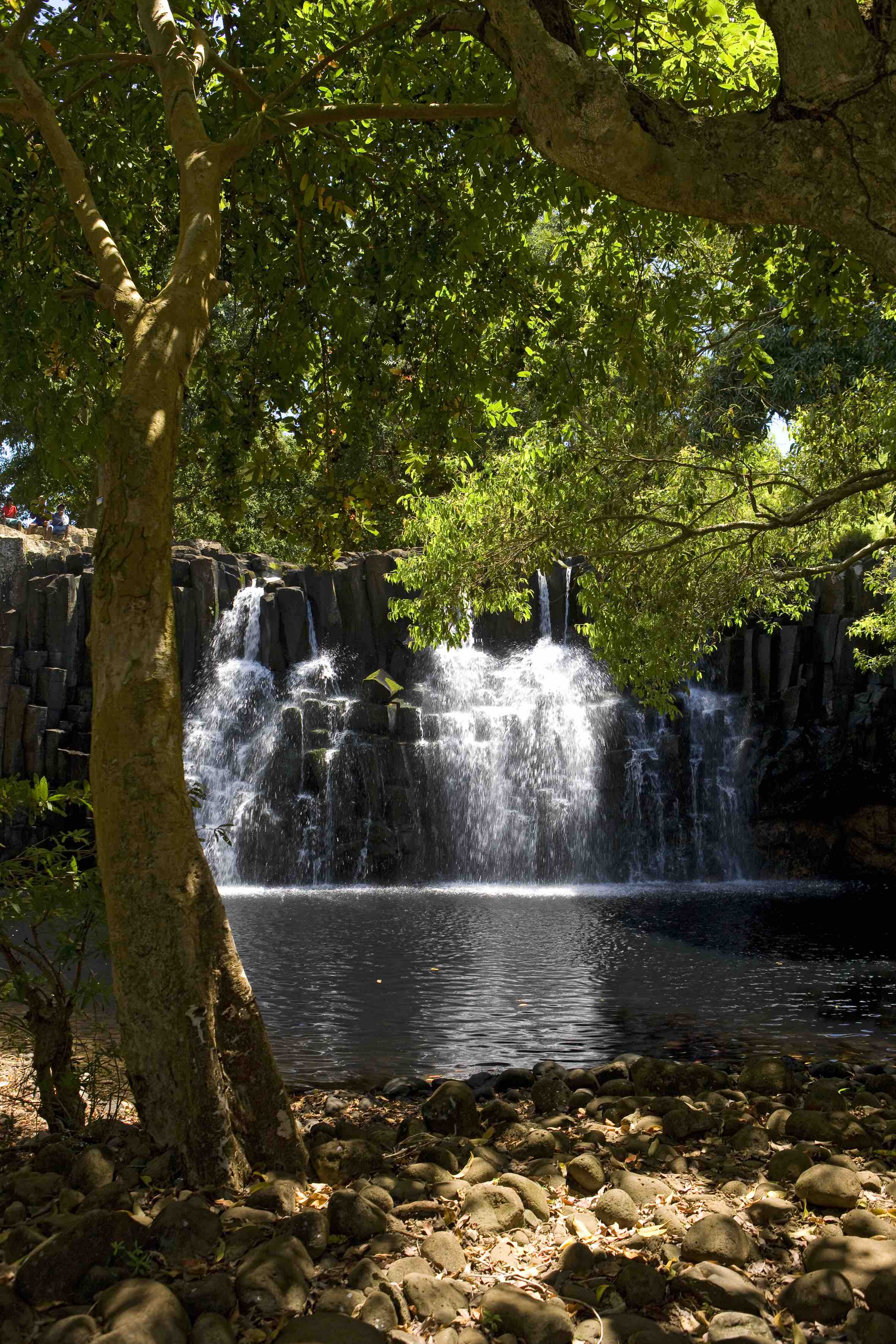 wild swimming pools