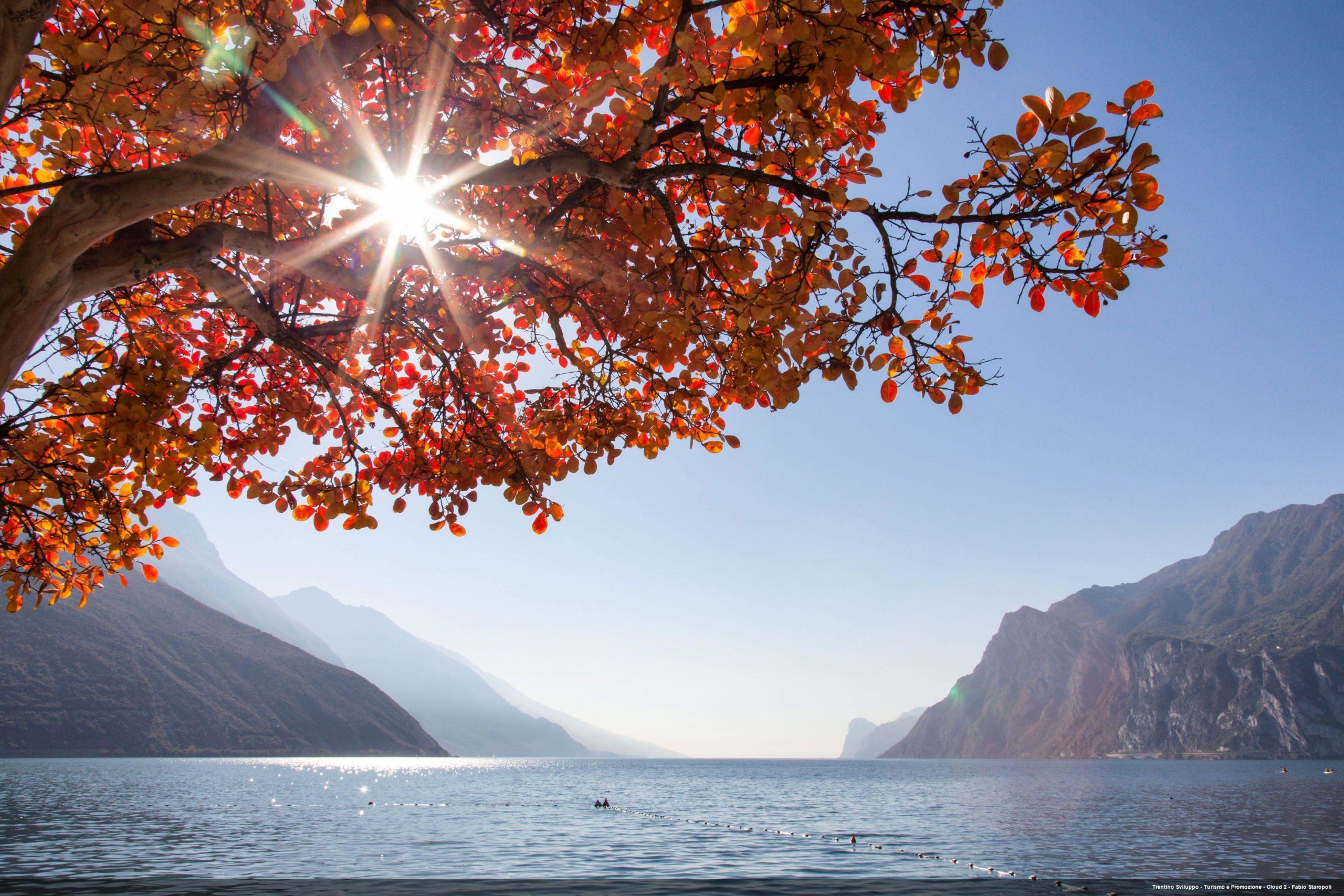 Autumn Walks: Best Spots For Leaf Peeping In Trentino, Italy