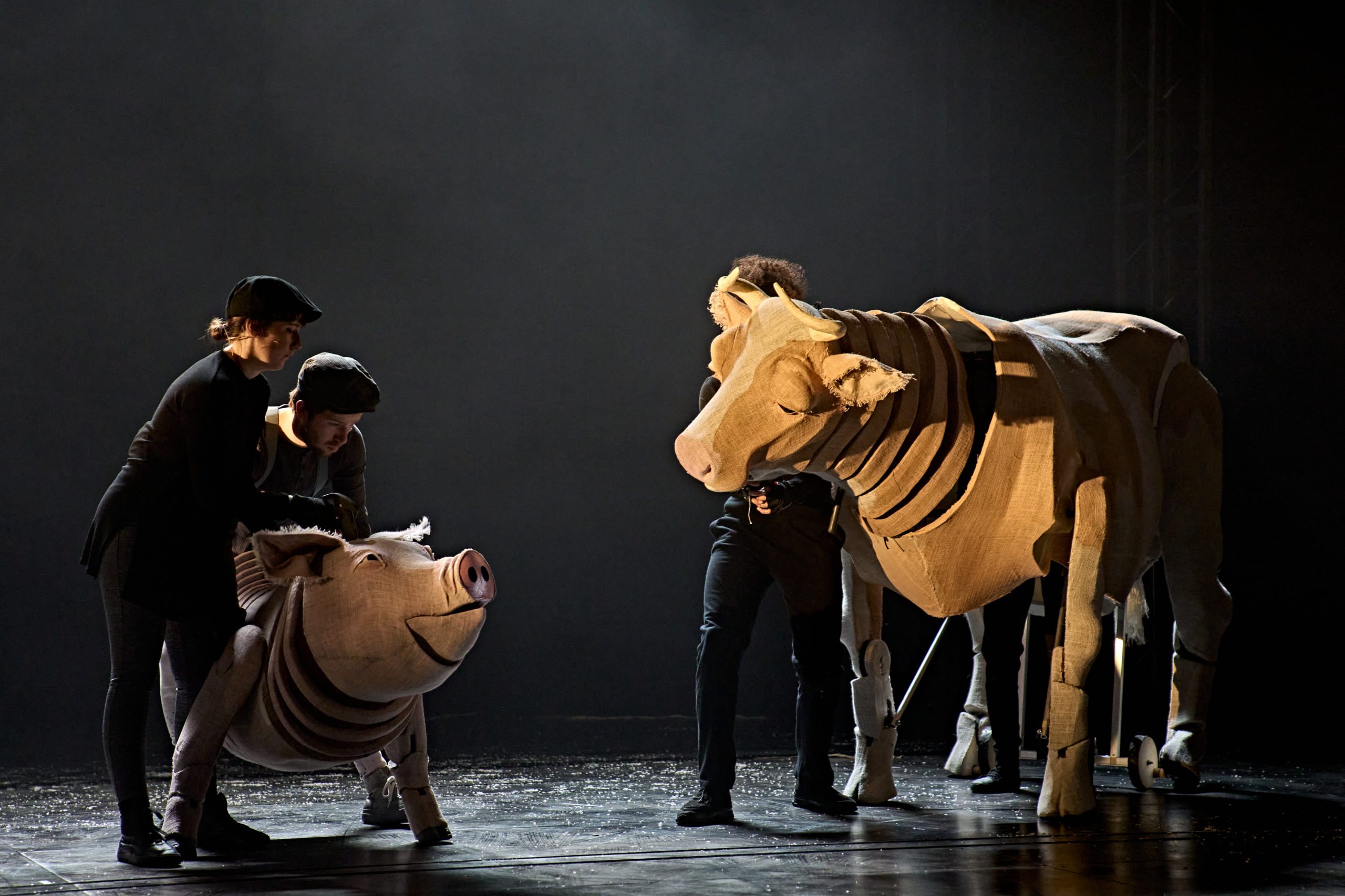 REVIEWED: Animal Farm at The Rep