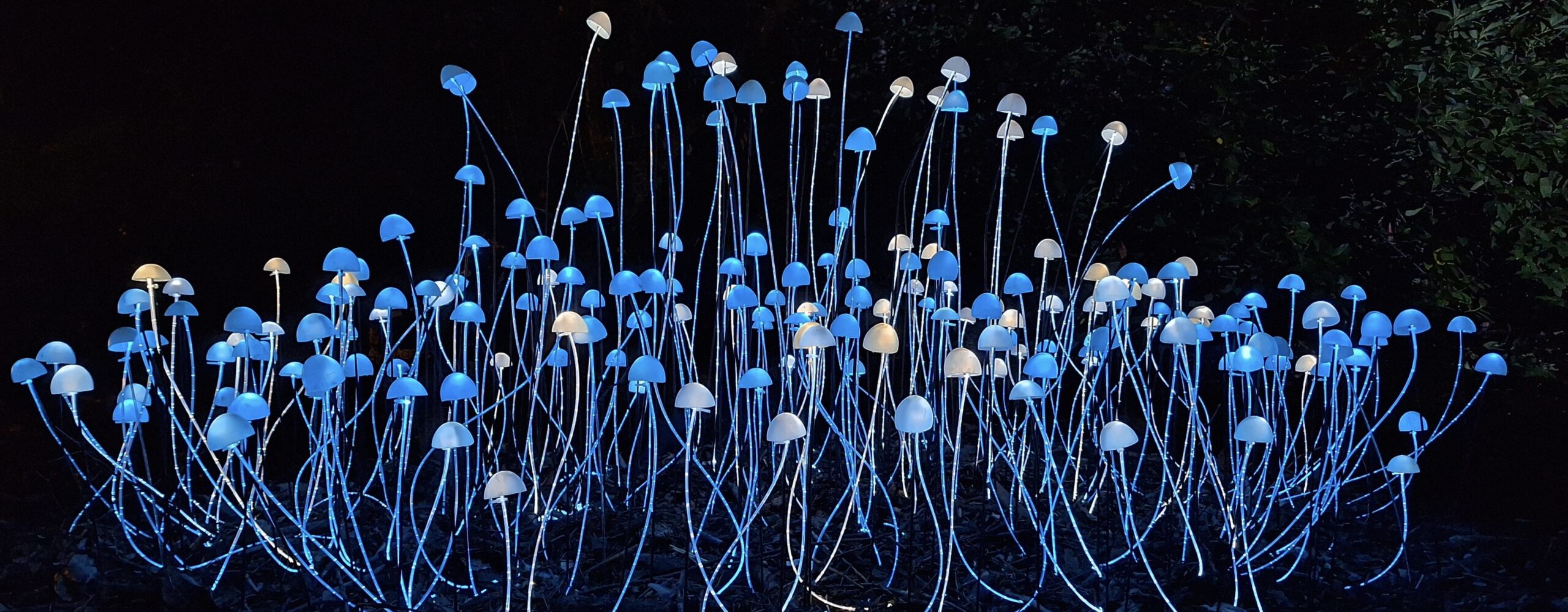 Glow with the Flow: Birmingham Light Festival is Coming