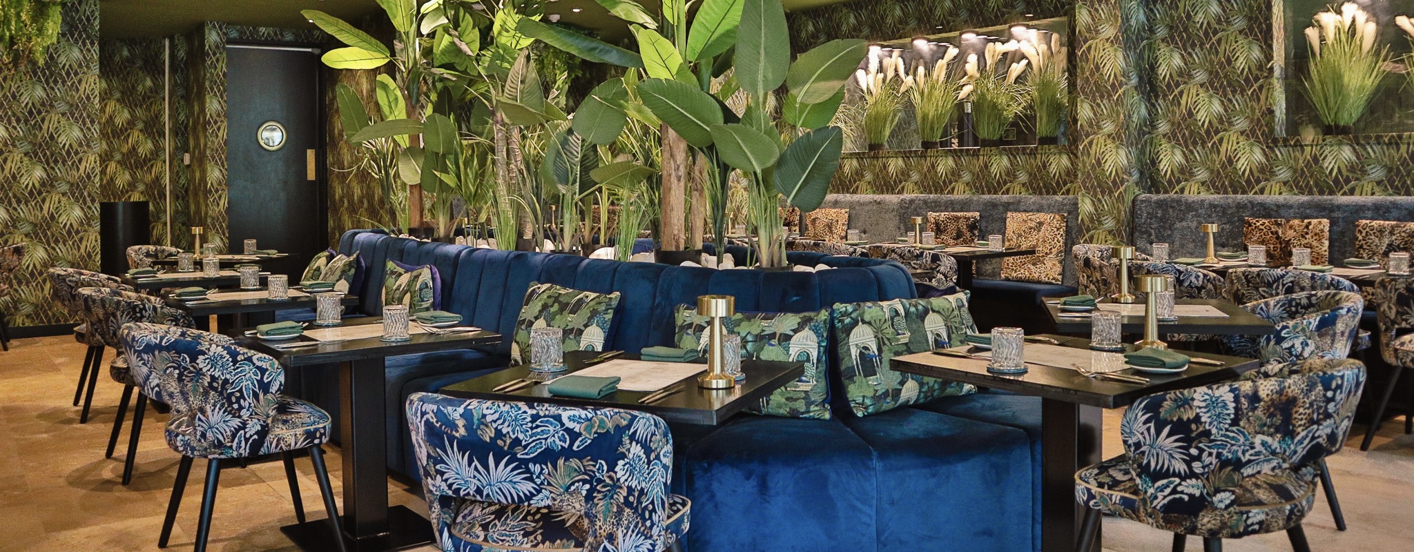 Pushkar: Where Bold Flavours Meet Maximalist Design